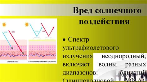 Влияние солнечных лучей на организм: баланс между пользой и потенциальными рисками