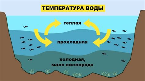 Влияние температуры воды на поведение щуки