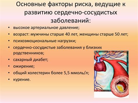 Влияние тирозина на работу сердечно-сосудистой системы