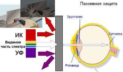 Влияние ультрафиолетового излучения на образование родинок