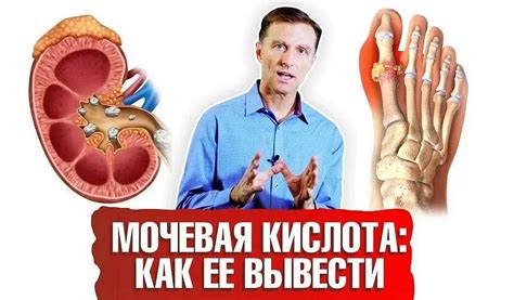 Влияние физической активности на уровень кислотности мочи