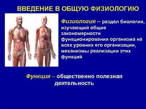Влияние характера пульсации на общую физиологию организма