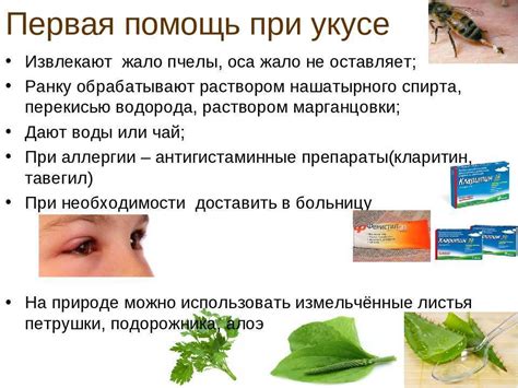Влияющие факторы и профилактика при укусе пчелы в области головы у детей