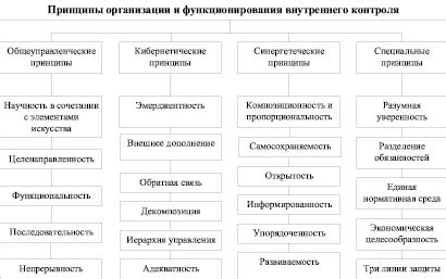 Внешние черты и принципы функционирования