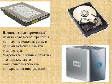 Внешняя память: хранилище информации из внешнего мира