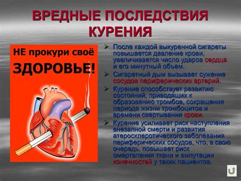 Воздействие алкоголя и курения на функции сердца
