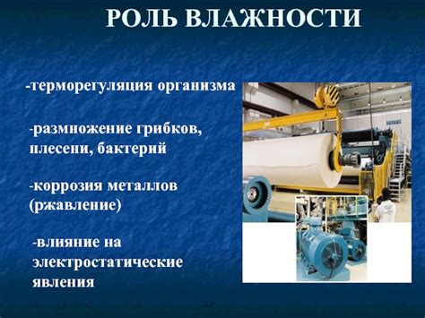Воздействие влажности и грибков на общее состояние организма