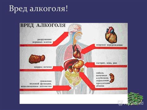 Воздействие глюкозы и декстрозы на метаболизм алкоголя