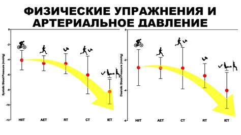 Воздействие интенсивных физических нагрузок на сердечный ритм и артериальное давление