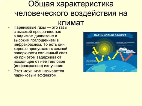 Воздействие климатических условий на волосяной покров: последствия без возможности восстановления