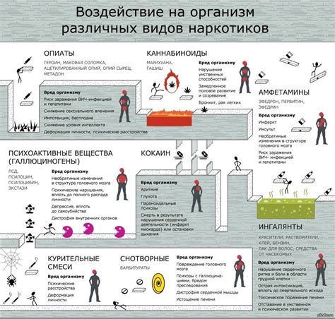 Воздействие на организм