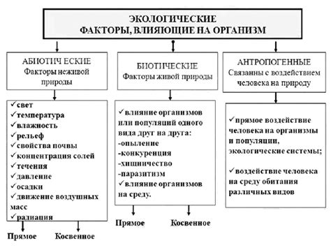 Воздействие окружающей среды: факторы, изменяющие состояние кожи на руках