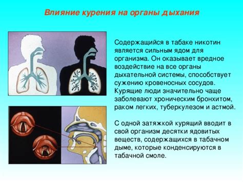 Воздействие опасных веществ на органы дыхания