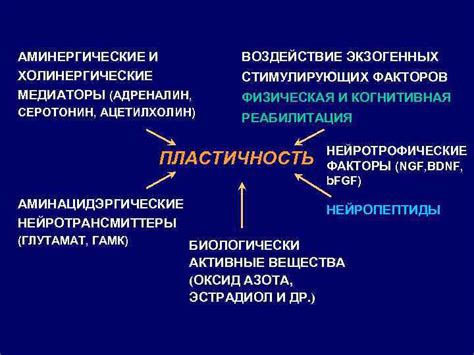 Воздействие стимулирующих факторов