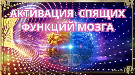 Возможности мозга: раскрытие потенциала