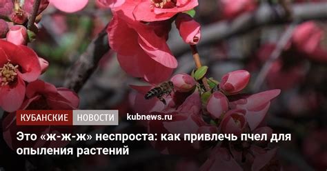 Возможности привлечения животных для обеспечения опыления
