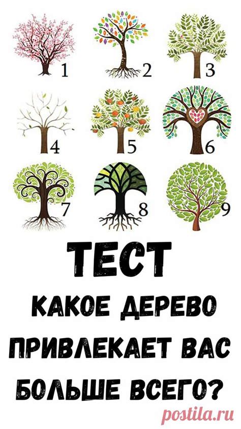 Возможность формирования личности у растений и его связь с генетикой