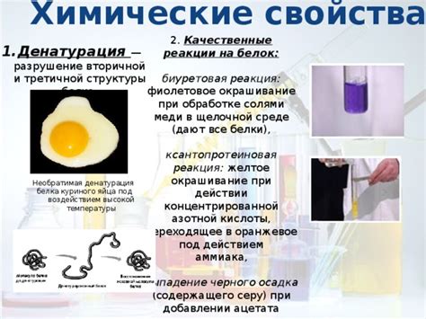 Возможные изменения внутренней структуры белков и жиров яйца под воздействием сильного удара