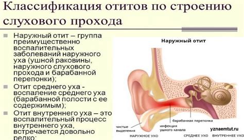 Возможные методы борьбы с покраснением левого уха