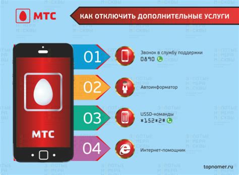 Возможные трудности и способы их преодоления при подключении услуги МТС Бит за пределами России