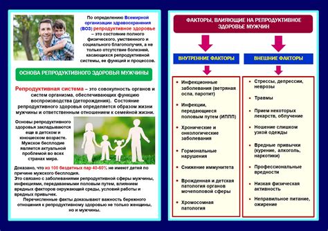 Возможные факторы, влияющие на повторяющееся чувство тошноты у мужчин