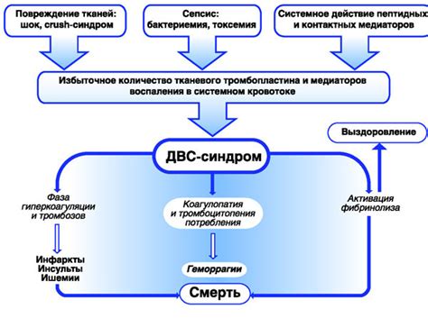 Возможные факторы, способствующие развитию синдрома Ирлена