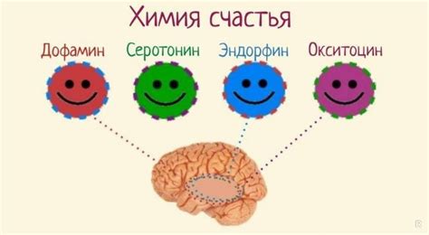 Возрастание уровня гормонов радости и привязанности