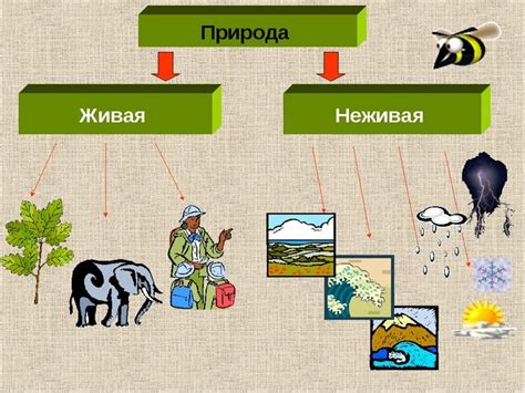 Восприятие животных как связь с природой