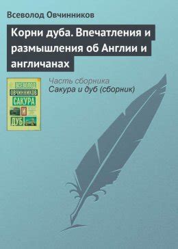 Впечатления и размышления после прочтения
