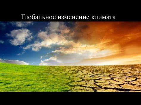 Вредители и его последствия