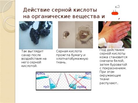 Вредные последствия воздействия серной кислоты на органы пищеварения