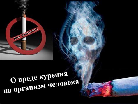 Вредный эффект уриба на организм: влияние на здоровье
