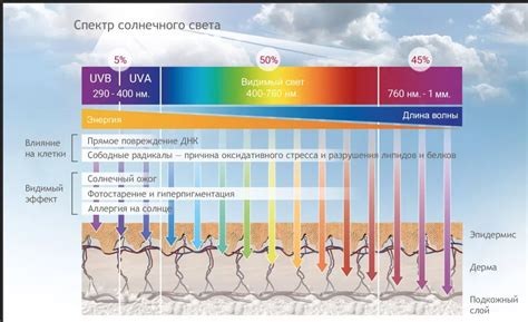Вред воздействия ультрафиолетовых лучей на кожу