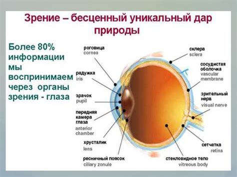 Вред грязи для зрительной системы