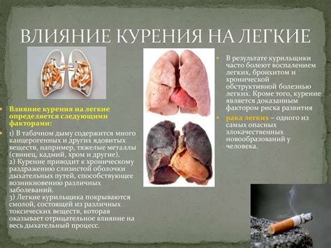 Вред курения на легкие: последствия печальной привычки