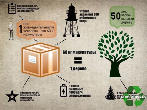 Вторичная переработка бумаги: забота о лесным наследии
