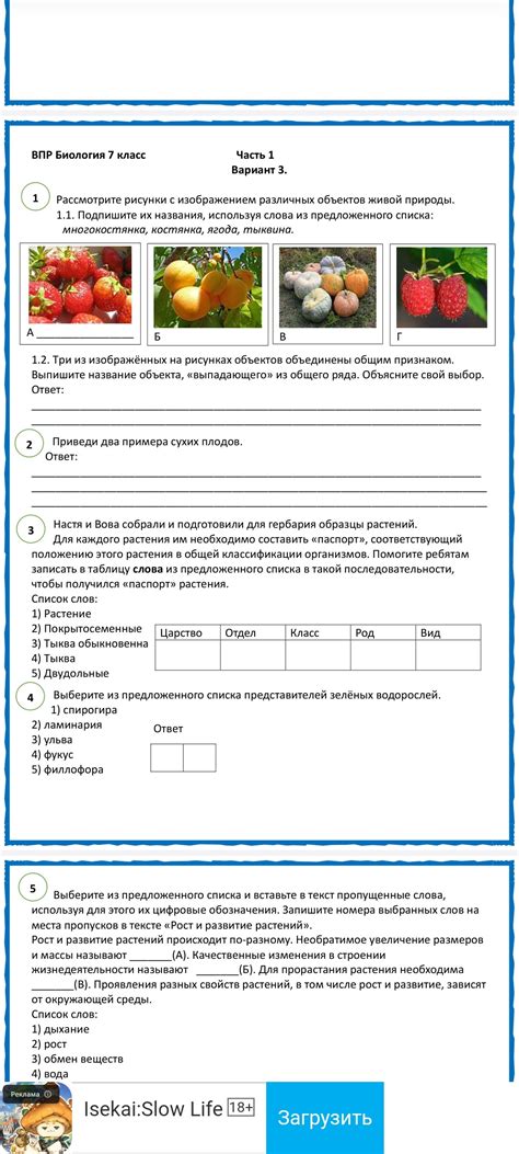 Выберите нужный шрифт из предложенного списка