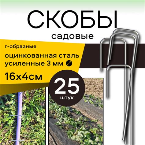 Выбор агроткани: определение подходящего типа для клубники