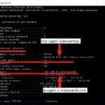 Выбор и использование онлайн-сервисов для определения ASN
