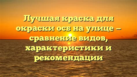 Выбор качественных материалов и красок для эффективной окраски двери на улице