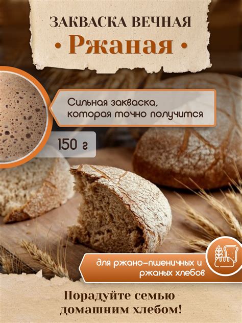 Выбор лучшей закваски для хлеба: изобилие вариантов и подходы к выбору