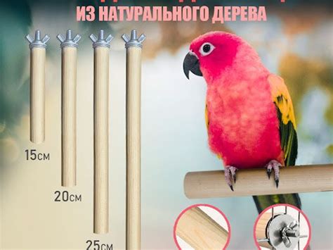 Выбор материала для жердочек: перечень преимуществ разнообразных вариантов