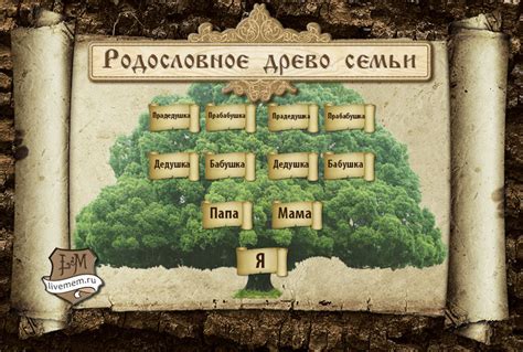 Выбор направления и материалов для составления генеалогической книги: