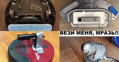 Выбор необходимых инструментов для поддержания ухоженности когтей питомца