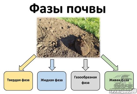 Выбор оптимальных компонентов для эффективного дренирования почвы