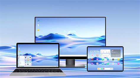 Выбор параметров настройки операционной системы Linux Mint 21