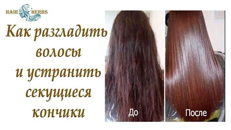 Выбор питательной маски для проблемы загрязнения волос