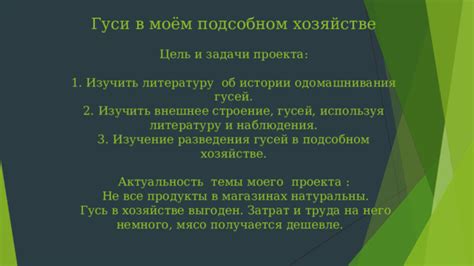 Выбор площади для участка в Личном подсобном хозяйстве: факторы и рекомендации
