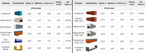 Выбор подходящего контейнера: залог комфорта и благополучия для вашей улитки