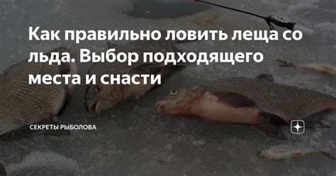 Выбор подходящего места: